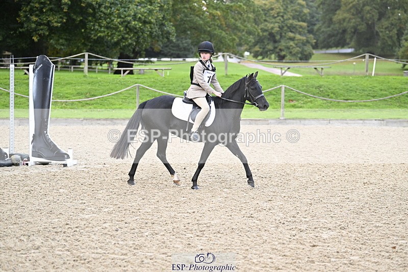 251005A-081548-02723 - Cls 01 GR 40cm