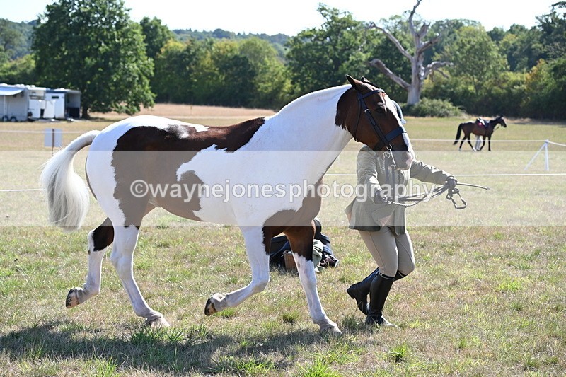 WJ6_4239 - Class 16 Condition & Turn Out