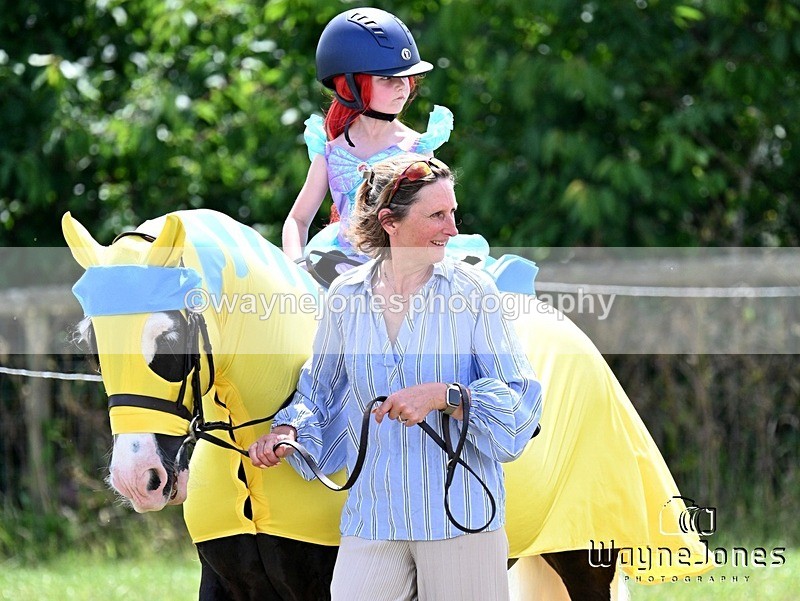 WJ7_7766 - Nancy And Churchill SORC summer show 21-06-26