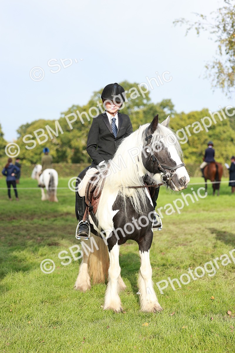 SBM_56424 - S39 - Starters In Hand Showing