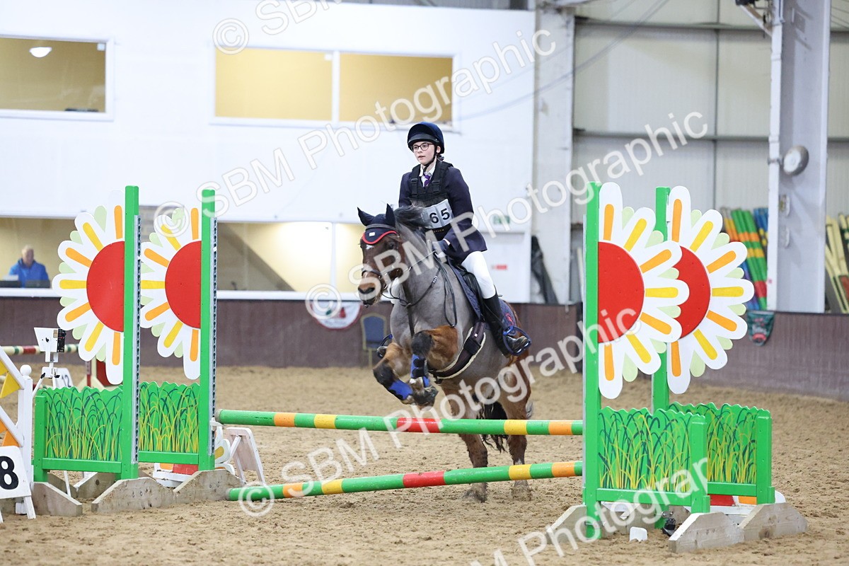 SBM_000975 - Class 3 - Christmas Tree Stakes - 60cm