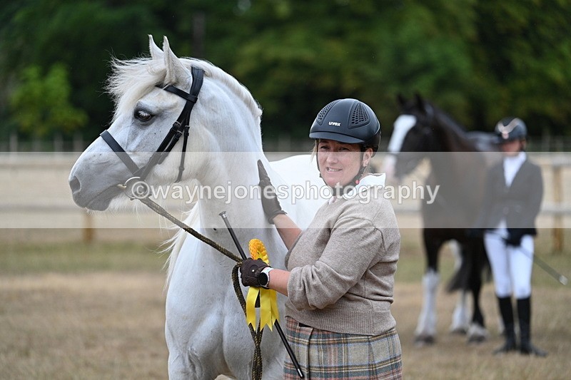WJ7_9277 - Class 4a Prettiest Mare 14.2hh and over