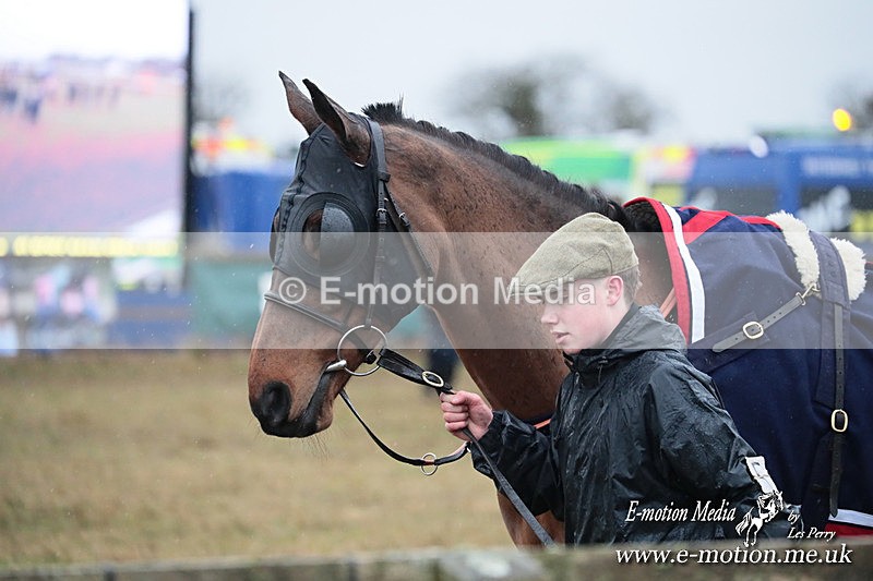 PtP 260125 791 - Cocklebarrow Point-to-Point racing with the Heythrop Hunt 26/01/25