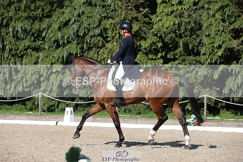 230526-170623-07906 - 175-MONBEG_EQUITY-Tom_McEwen-WEDTrotUp+DR