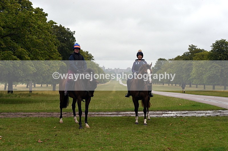 TT3_8134 - Time at Crossing 09:15 to 10:15