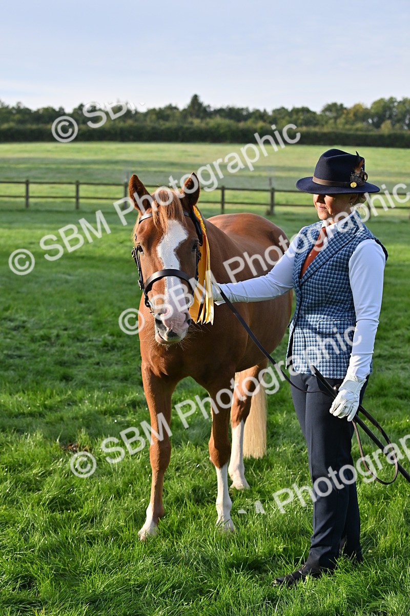 SBM_54641 - S44 - Youngstock In Hand