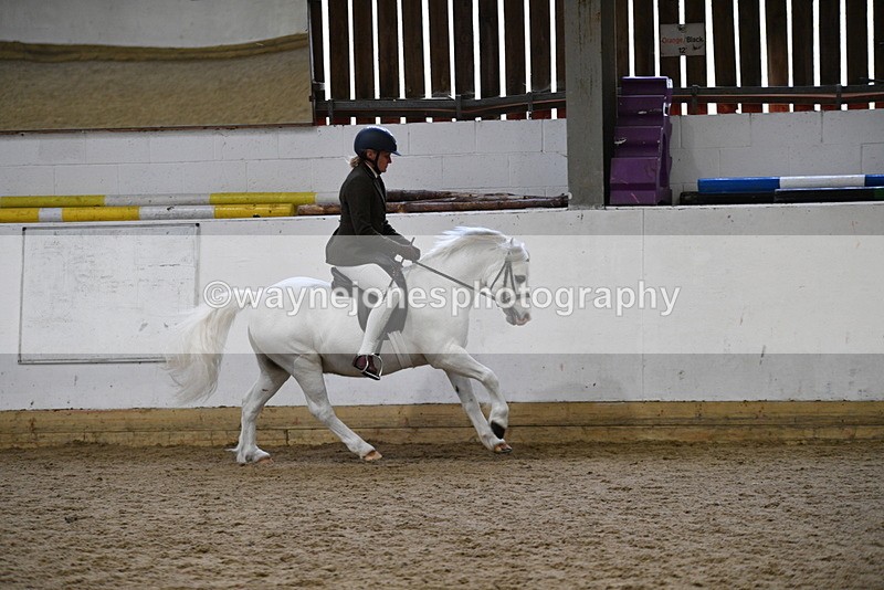 WJ5_6287 - Class 9 Ridden Veteran