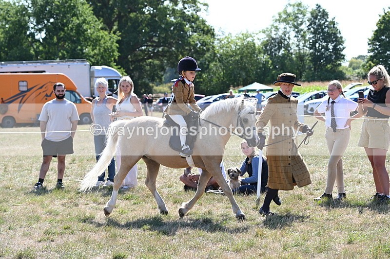 WJ6_7755 - Class 36 Lead Rein