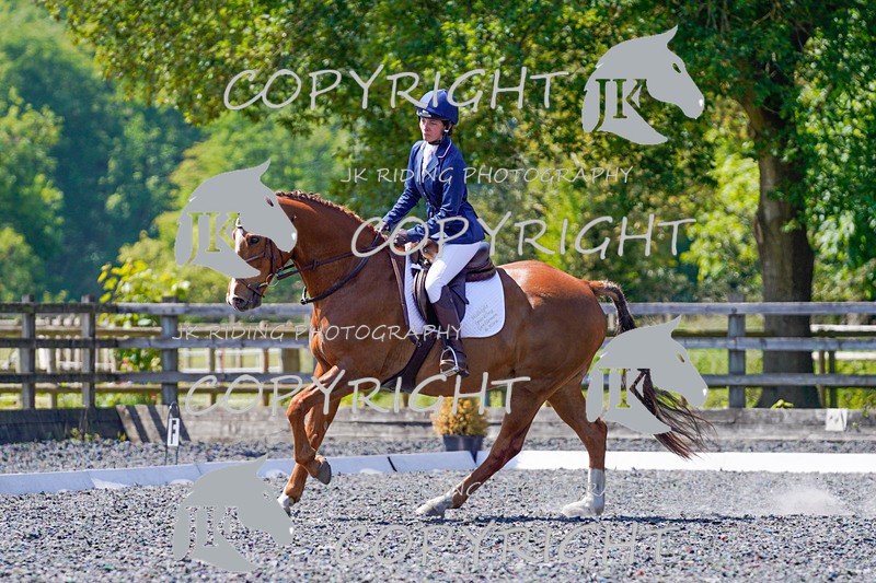 _DSC3699 - NOVICE 1