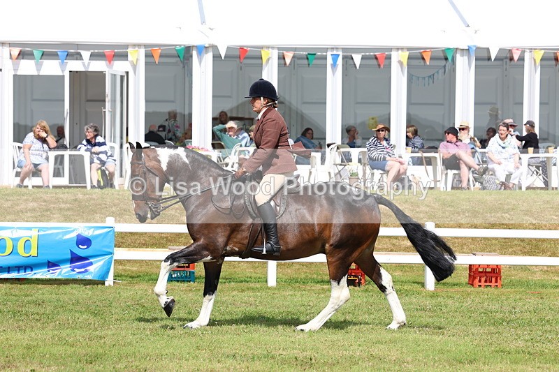 3E7A9760 - Class 5: Rising Star Lightweight/Heavyweight Cobs