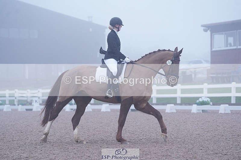 250215-094622-02699 - 142-Daisy.Hedges-Felicia.v