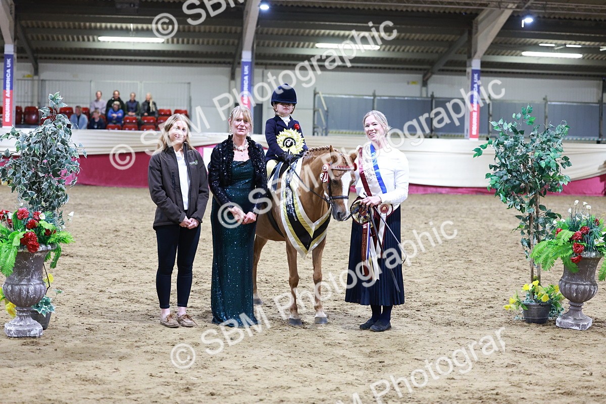 SBM_20585 - Class H - IH Competition - Riding Club champ