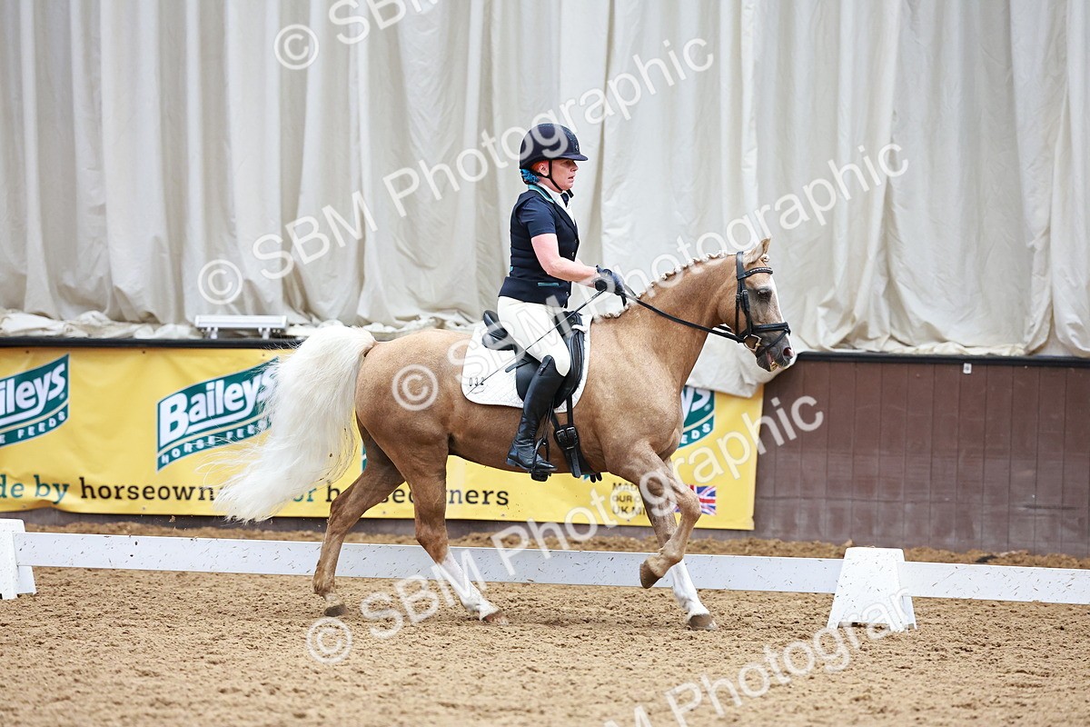 SBM_001219 - Class 5-6 - Novice 1-Elem 1
