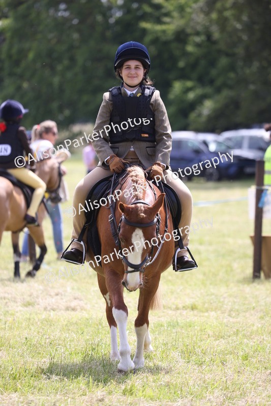 20260614-1918 - Class 21 - Novice Working Hunter Pony