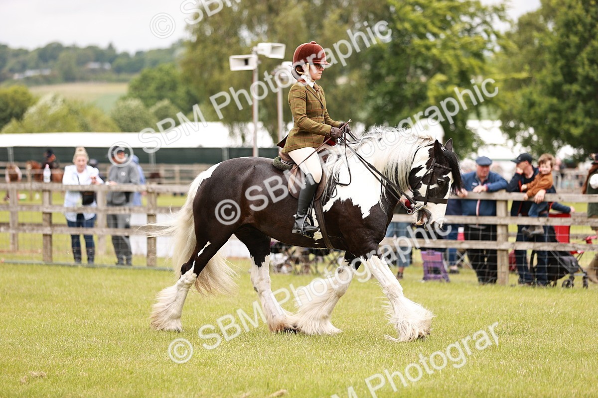 SBM_06210 - Class 39-41 TGCA In Hand and Ridden