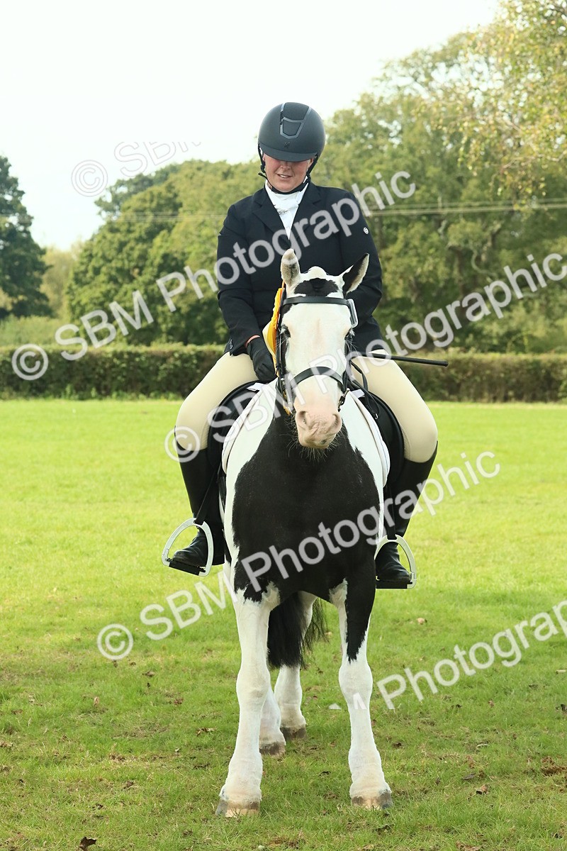 SBM_66790 - S34 - Rehabilitated Rescue Horse & Pony In Hand & Ridden