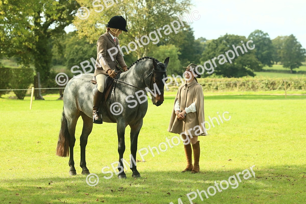 SBM_62596 - S63 - Other Coloured Horse Ridden