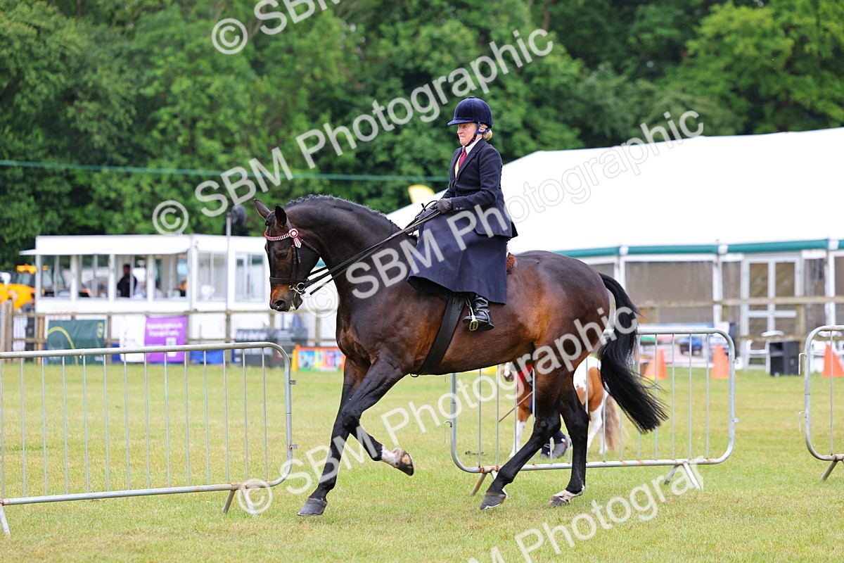 SBM_02946 - Class 9-11 Side Saddle including LIHS Rising Star Ladies Show Horse
