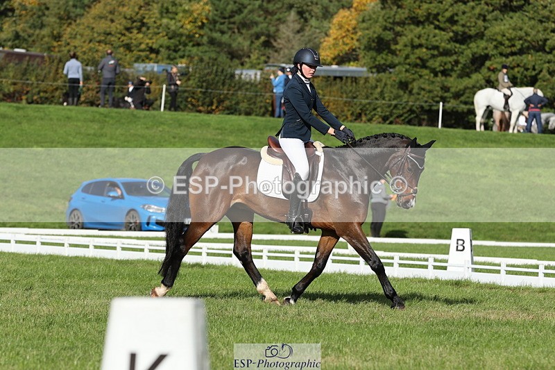 251024A-113941-10026 - D-354-Poppy.Burner