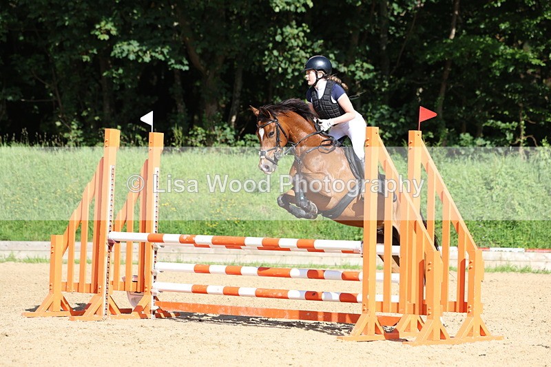 3E7A8025 - Class 13: Pony British Novice/80cm open