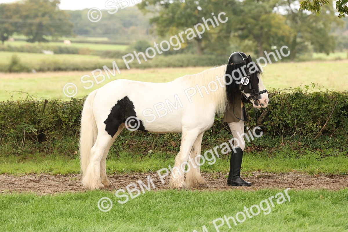SBM_59236 - S57 - Traditional Cob In Hand