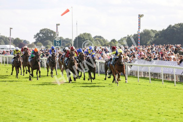 230824-Race 5-Canoodled-8495 - Race 5 4.10pm Assured Data Protection EBF Fillies' Handicap