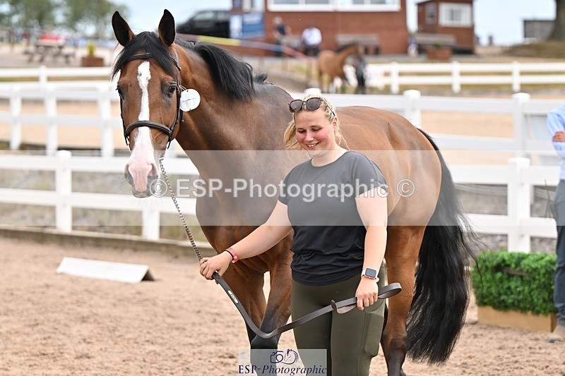 250716-151337-01796 - Trot Up 2.30 to 3.30