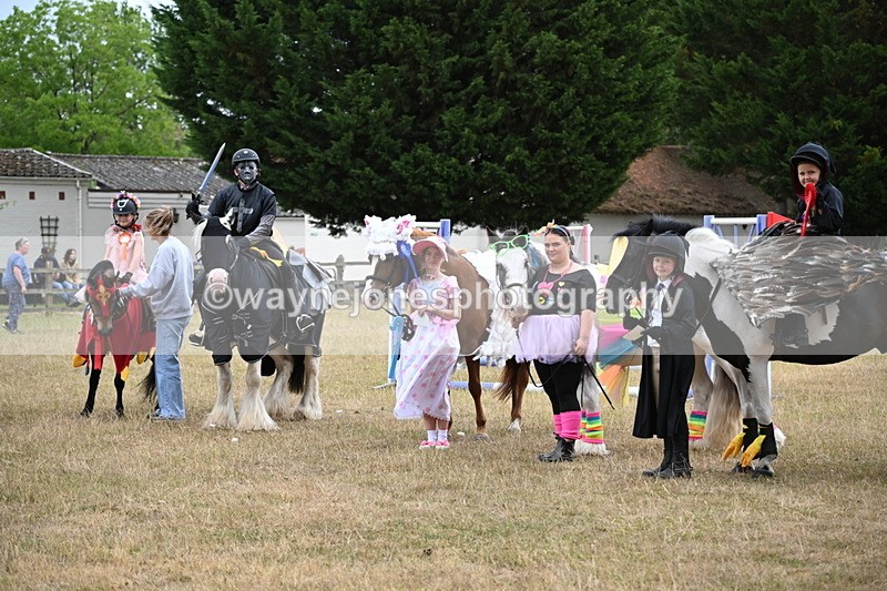 WJ6_9212 - Class 11 Fancy Dress