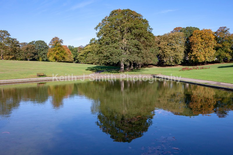 8SKJ9682 - Trees in Abington Park