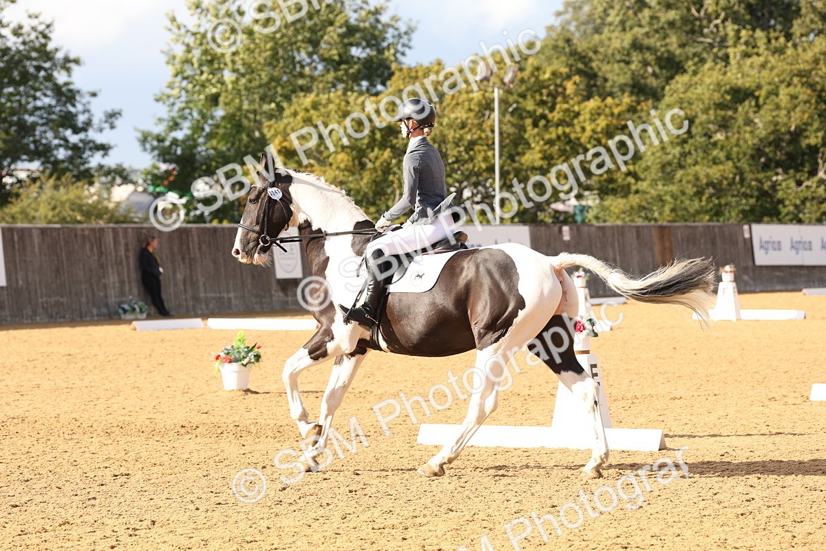 SBM_26990 - D17 - Grand Tour Championship Novice 3