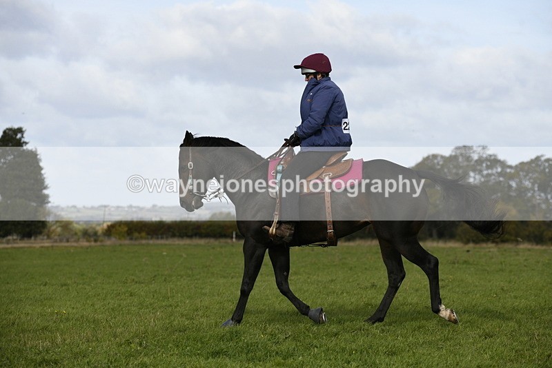 _DSC6441 - Time 11:23 to 12:05