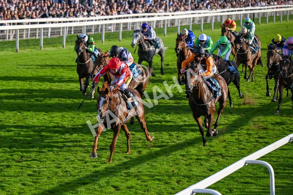 111025-Race 6-Berkshire Sundance-9027 - Race 6 Coral Racing Club Stayers Handicap at York