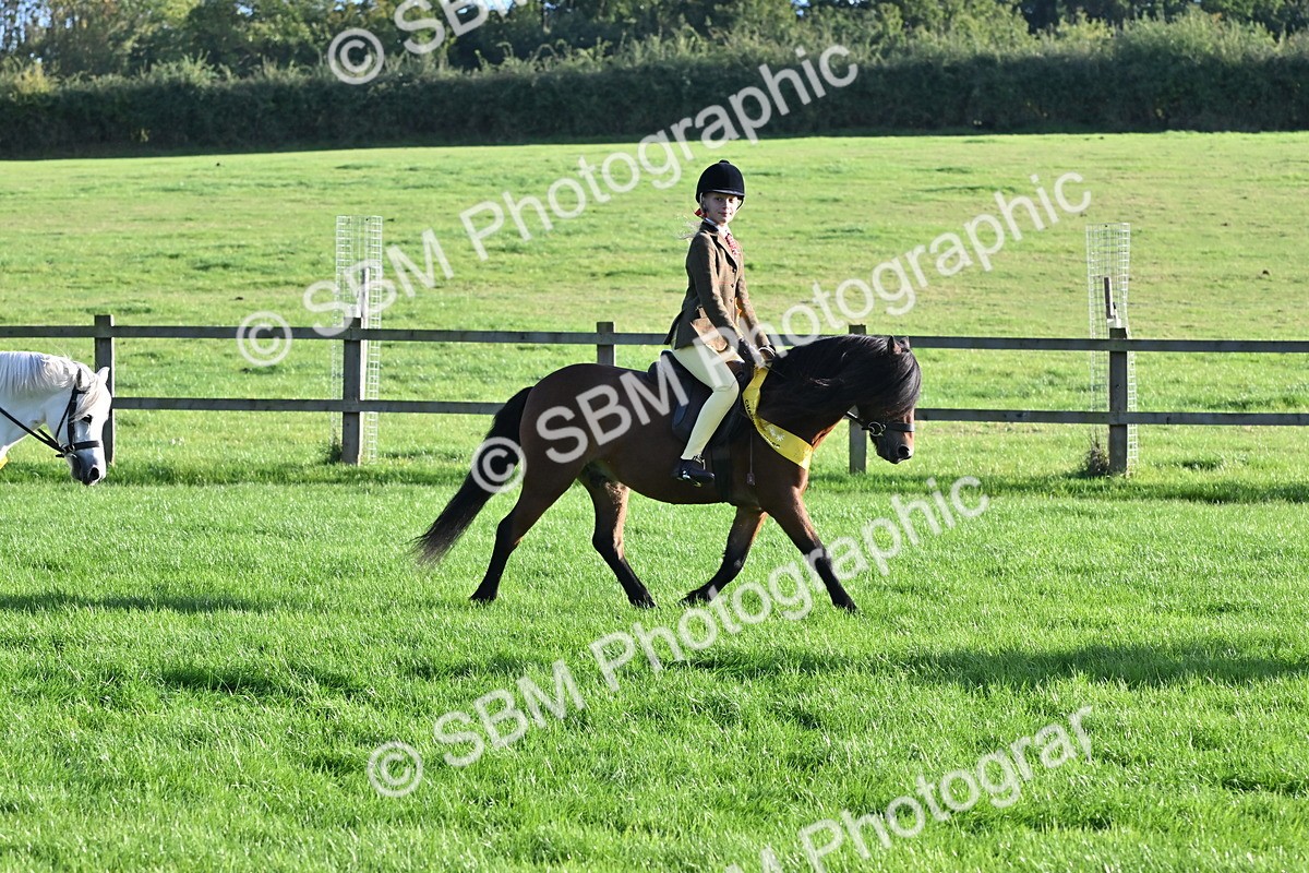 SBM_53094 - S23 - First Ridden Mountain & Moorland Pony