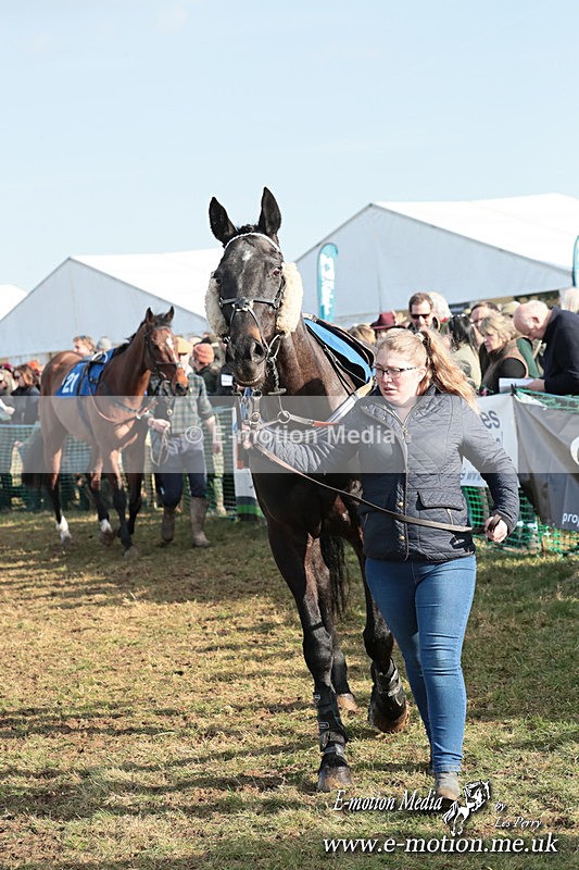 PtP 010325 392 - Beaufort Races Didmarton 01/03/25