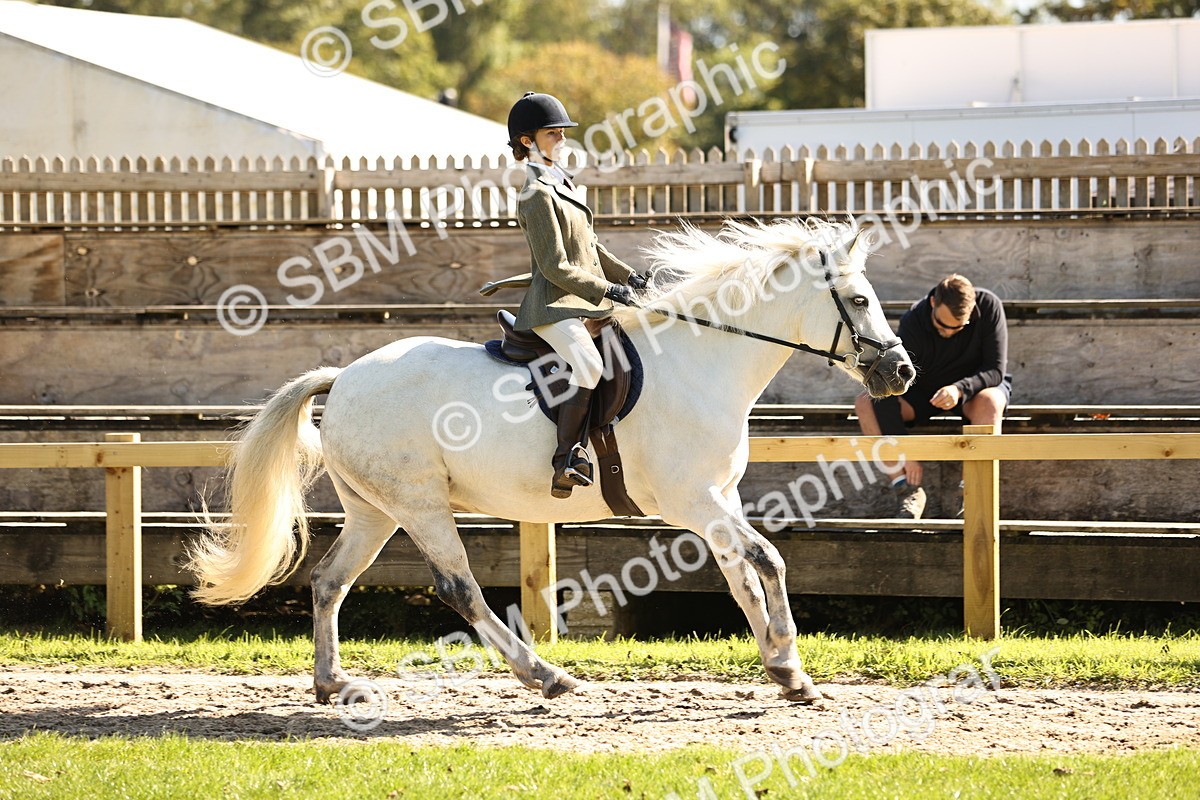 SBM_19157 - S3 - TSR Ridden Pony Showing