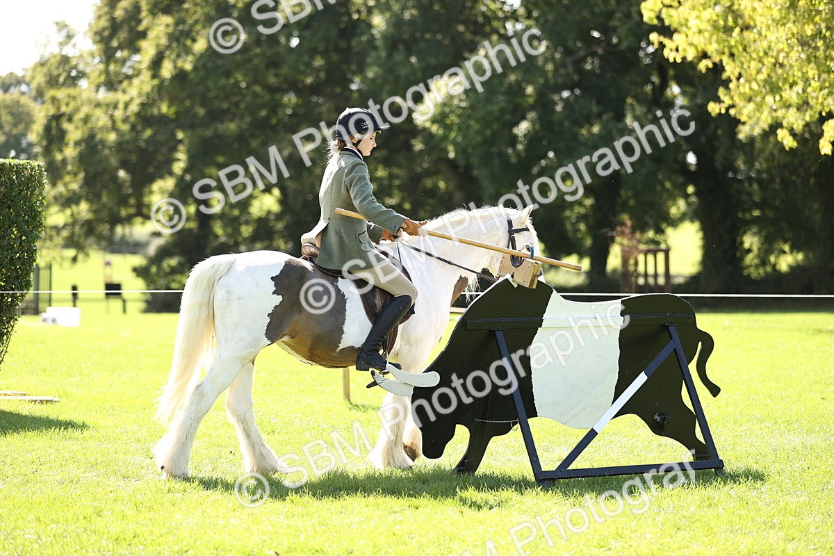 SBM_23021 - S4 - Have a Go at Working Equitation
