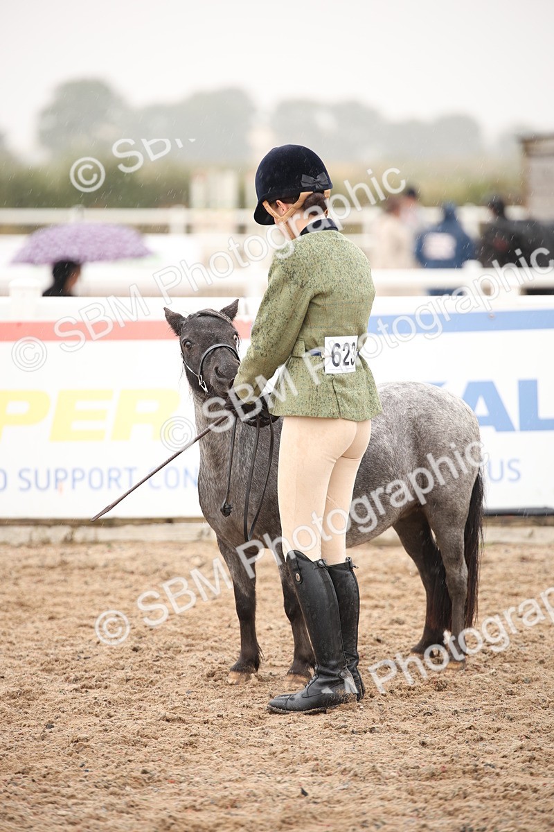 SBM_20253 - Class 704 - IH Rescue