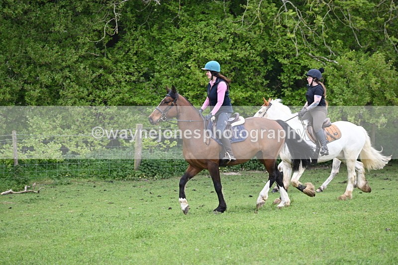 WJ6_3103 - A camera