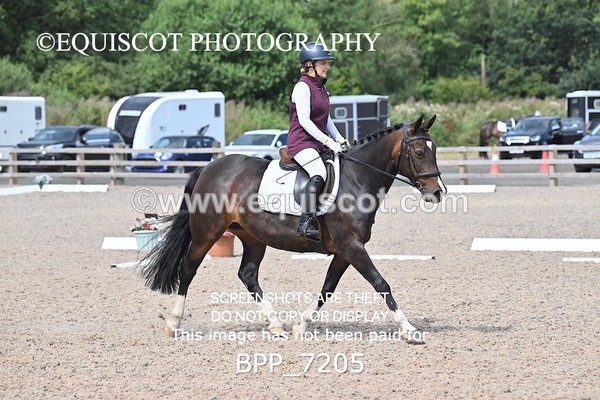 BPP_7205 - PRELIM 3