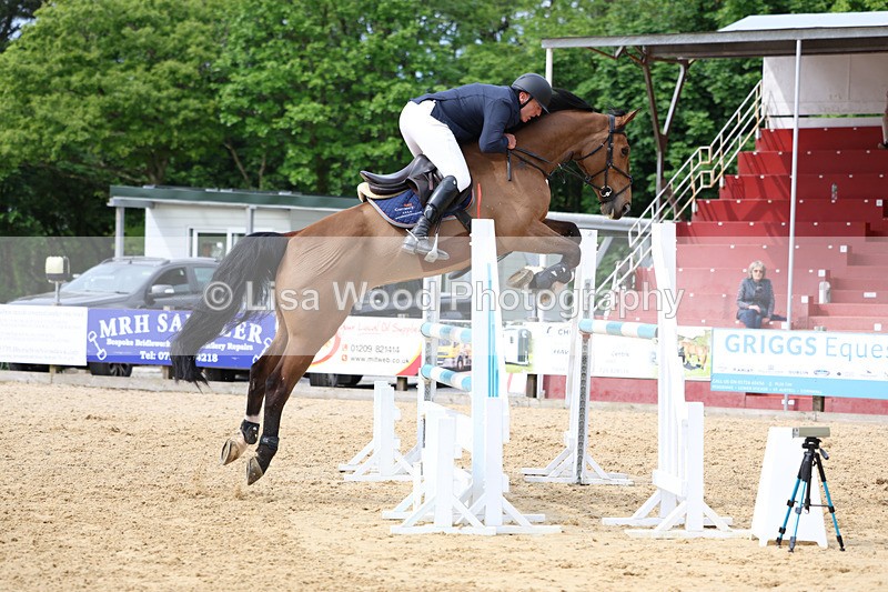 3E7A7664 - Class 8: Senior Foxhunter/1.20 open