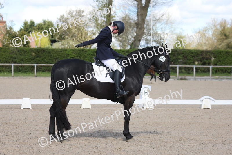 20260405-0541 - Class 6 - Elementary 6