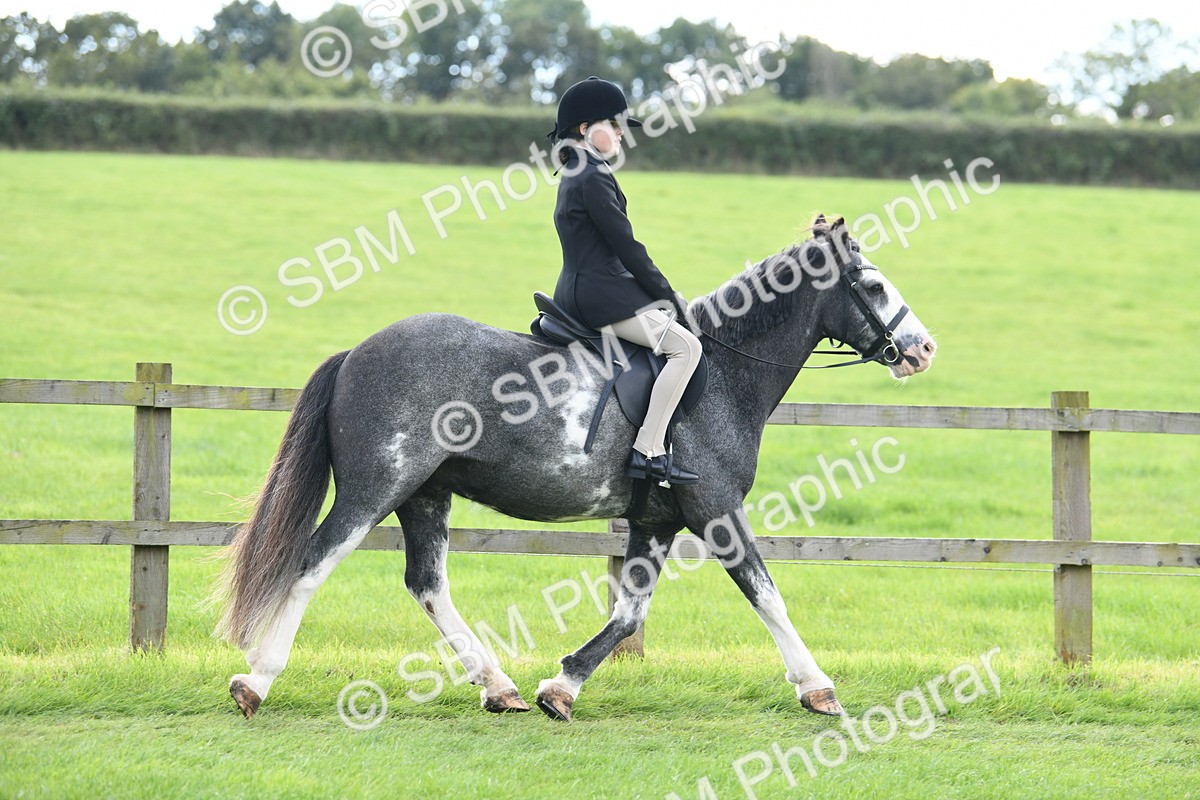 SBM_46741 - S12 - Family Horse & Pony
