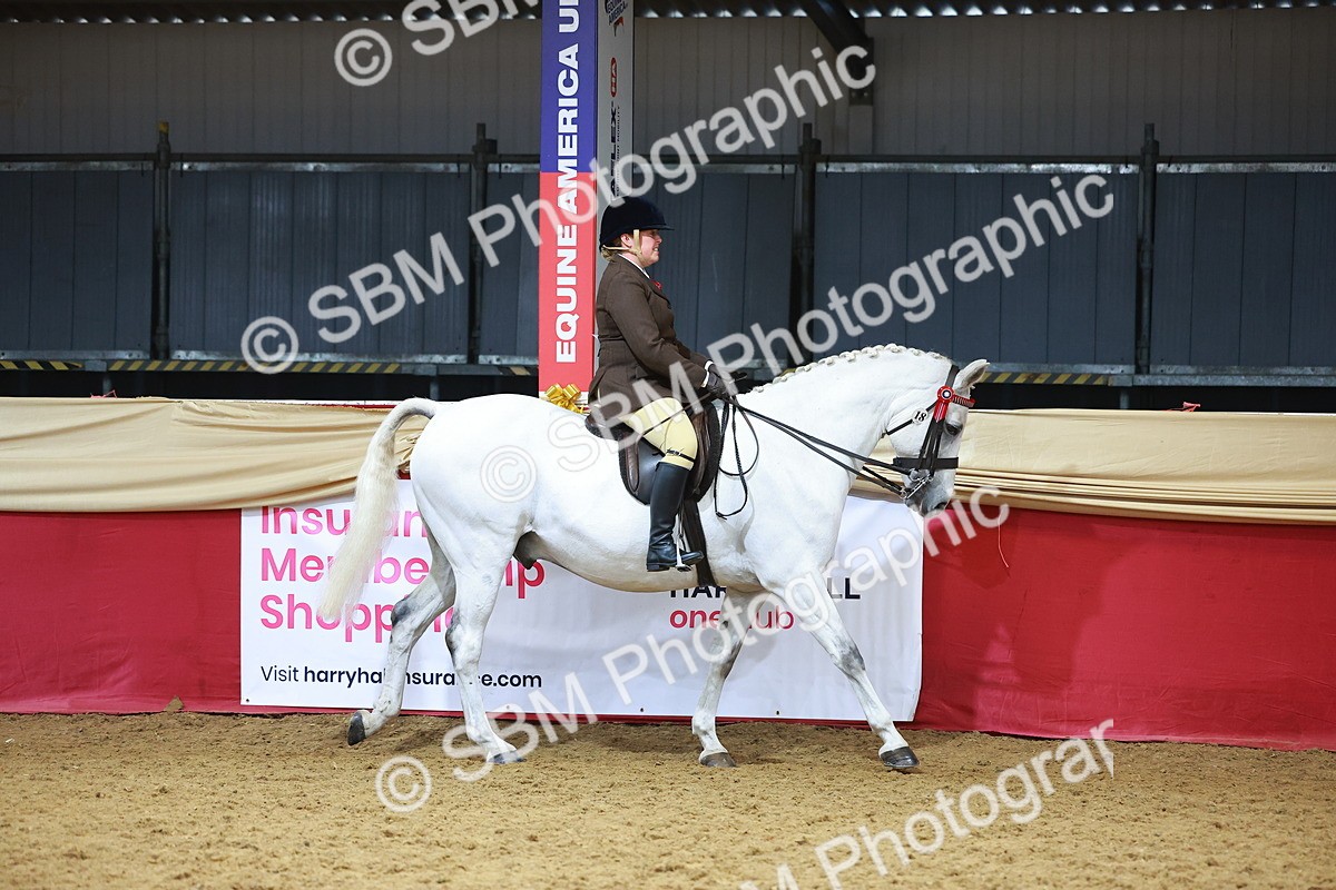 SBM_12384 - Class 103 - HOYS Veteran Qualifier - Ridden Pre Vet