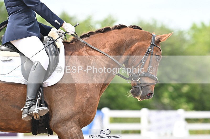 240621A-151512-04670 - Cls 13 BD Adv Medium 91