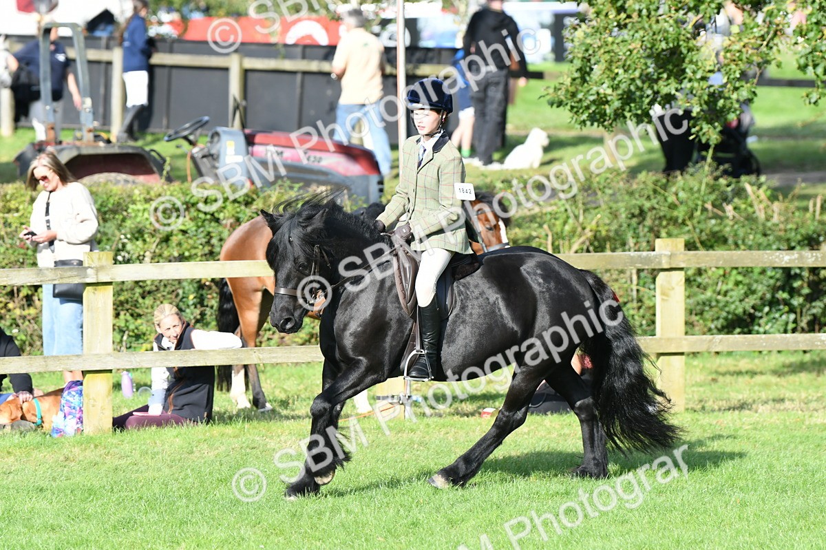 SBM_51974 - S21 - Novice & Newcomers 1st Ridden Pony