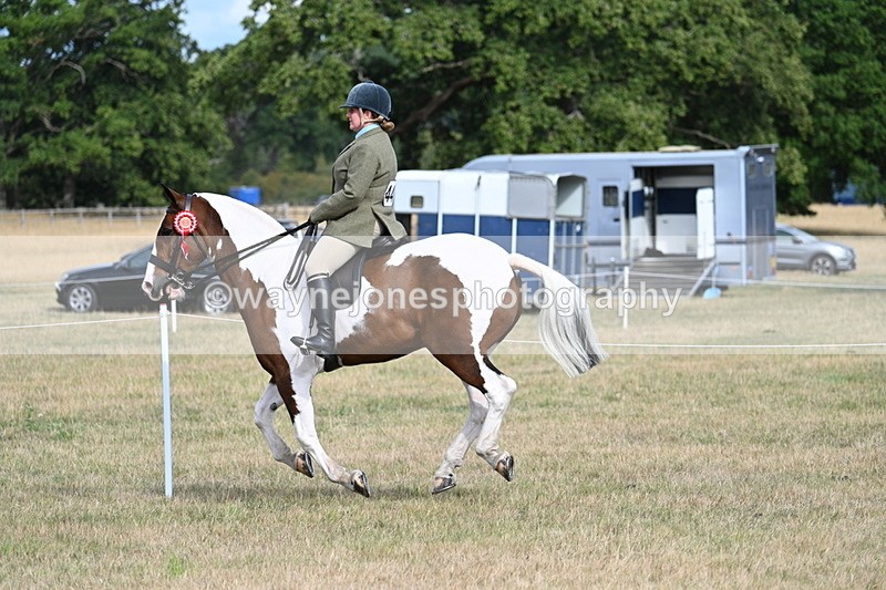 WJ7_7793 - Ridden Championship