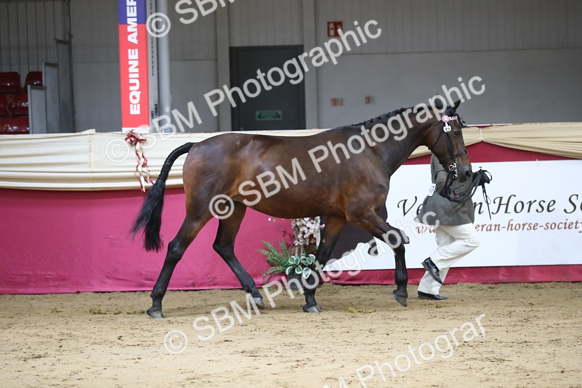 SBM_06271 - Class 9R Regional- IH Pre Vet