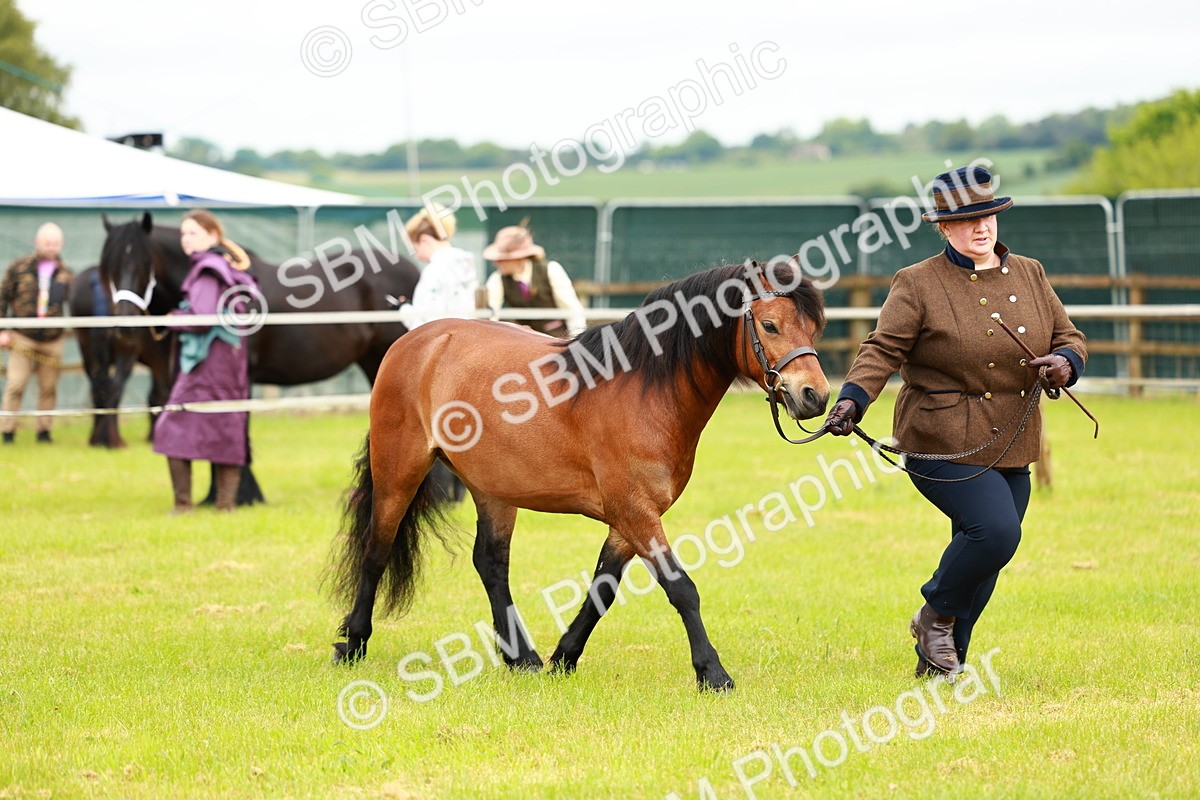 SBM_00271 - Class 58-67 - M&M Non Welsh Pony In hand