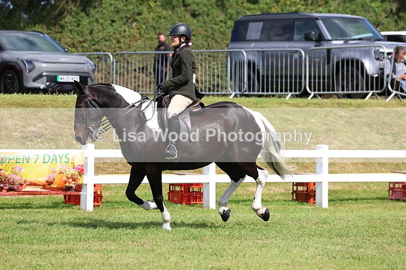 3E7A9752 - Class 5: Rising Star Lightweight/Heavyweight Cobs