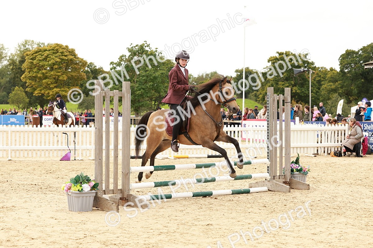 SBM_63697 - J12 - Junior Pony 55cm Championship